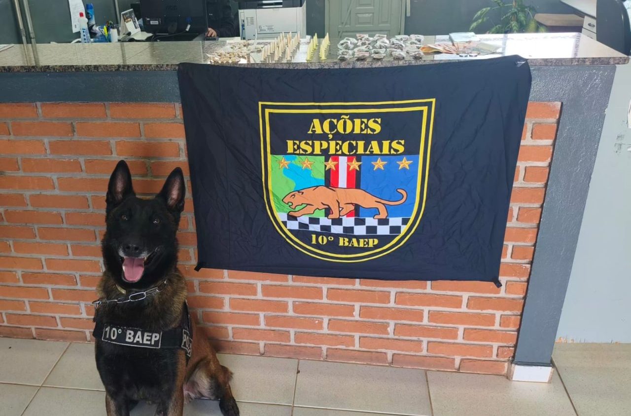 BAEP apreende drogas e detém suspeitos por tráfico no João Ometto, em Limeira