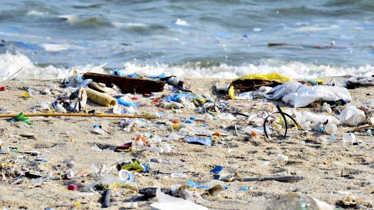 Governo de SP lança plano inédito para combater o lixo no mar nos próximos 10 anos