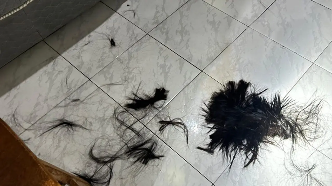 Jovem é preso após cortar cabelo da namorada por ciúmes em Engenheiro Coelho