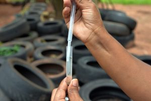 Mutirão contra a dengue atende três bairros de Limeira neste sábado