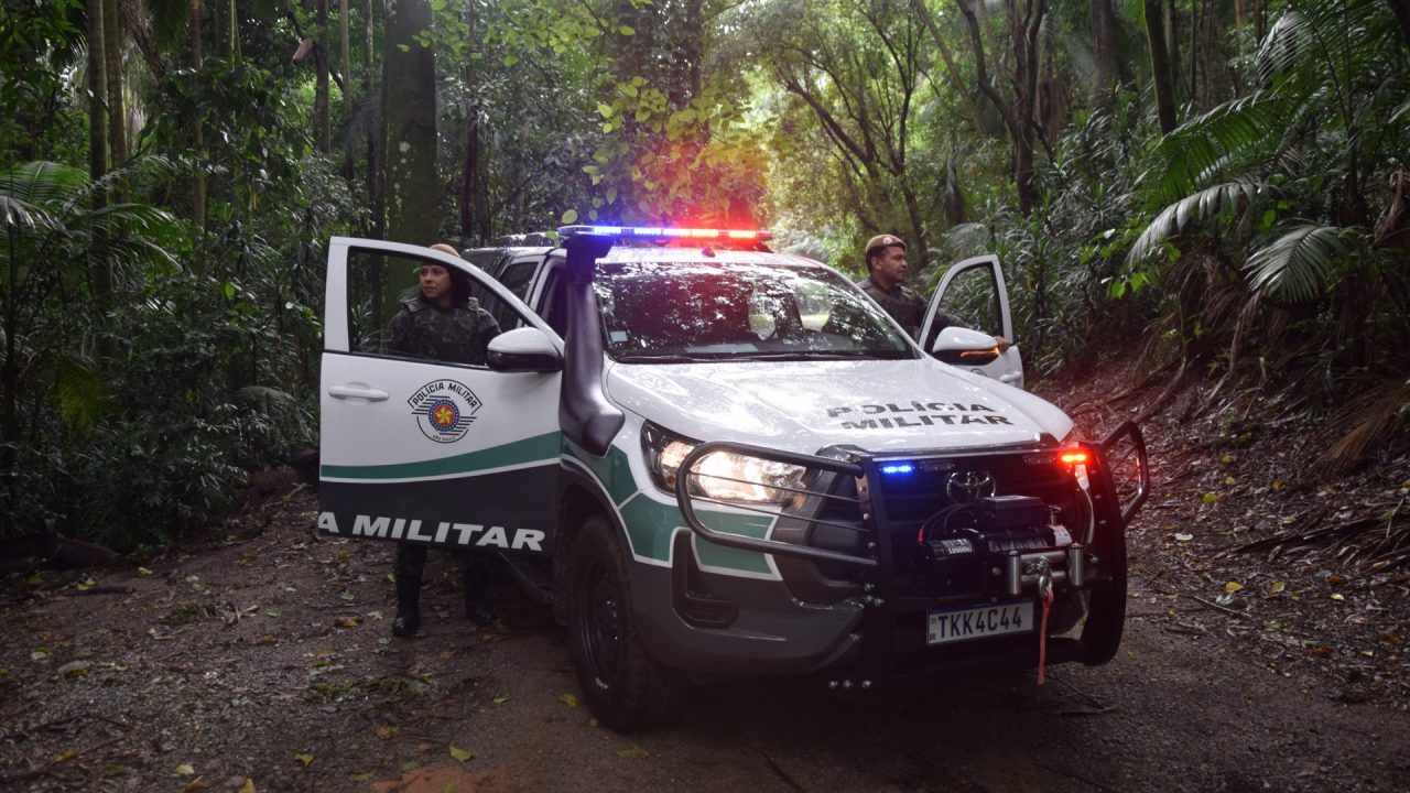Polícia de SP intensifica o combate a crimes ambientais em todo o Estado