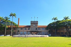 Programa busca proporcionar experiência prática e qualificação profissional aos estudantes