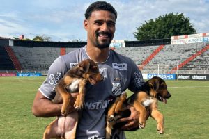 15 animais resgatados ganham nova família durante jogo da Inter de Limeira