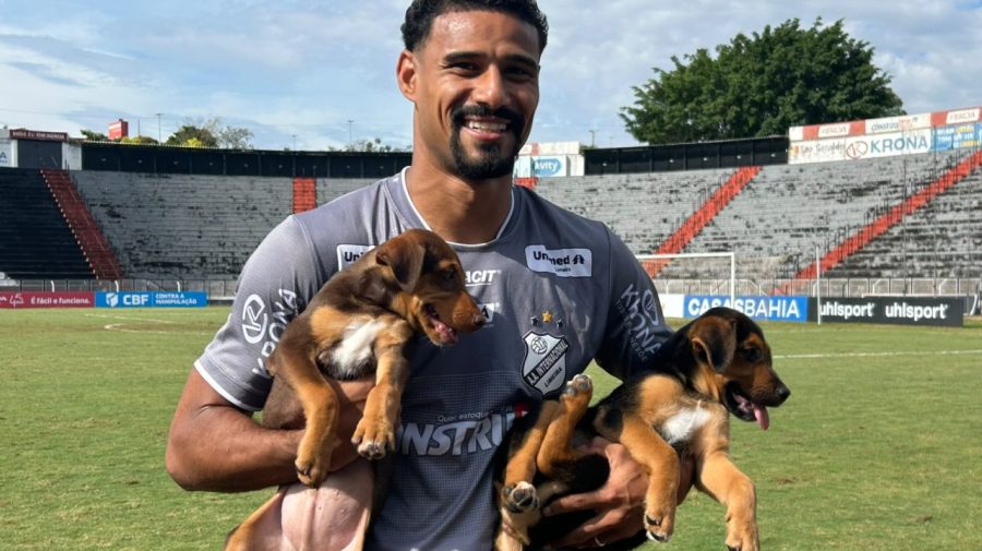 15 animais resgatados ganham nova família durante jogo da Inter de Limeira
