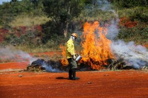 Ação humana é a principal causa de incêndios