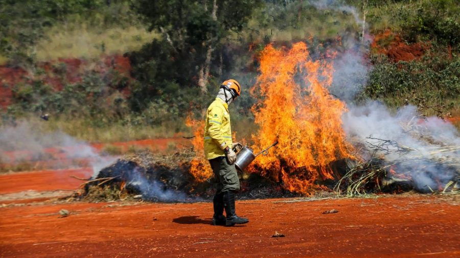 Ação humana é a principal causa de incêndios