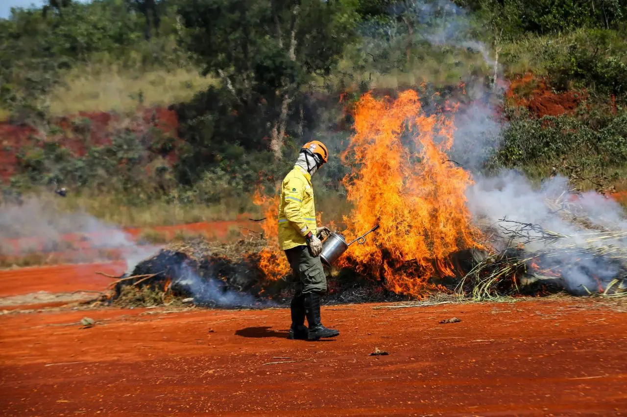 Ação humana é a principal causa de incêndios