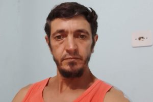 Ciclista morre após ser atropelado em rodovia