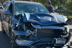 Testemunha afirma que viu motorista que matou Renan Toquini em colisão com cachorro no colo
