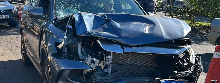 Testemunha afirma que viu motorista que matou Renan Toquini em colisão com cachorro no colo