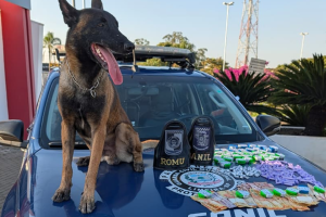Cão farejador encontra drogas e R$ 1,2 mil em mata de Limeira
