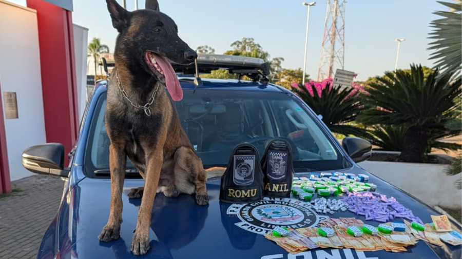 Cão farejador encontra drogas e R$ 1,2 mil em mata de Limeira