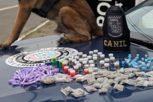 Equipe do Canil da GCM localiza mais de 200 porções de drogas em Limeira