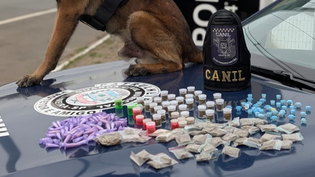 Equipe do Canil da GCM localiza mais de 200 porções de drogas em Limeira