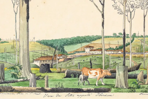 Espaço Cultural Engep reabre com exposição sobre Hercule Florence