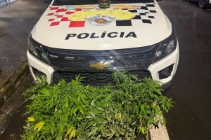 Homem é preso com 510 pinos de cocaína em Limeira