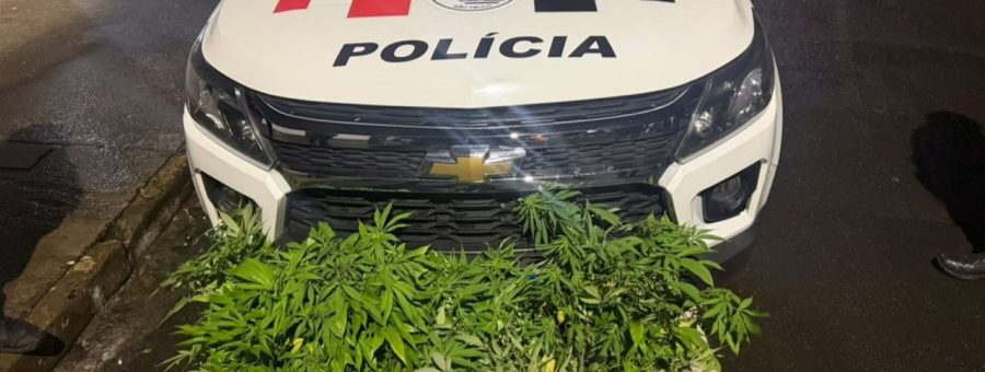 Homem é preso com 510 pinos de cocaína em Limeira