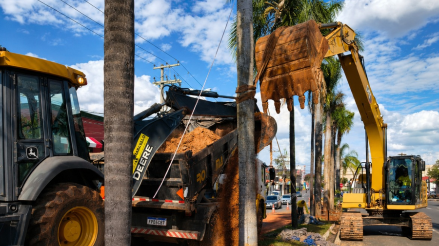 Limeira planta 13 palmeiras na Avenida Maria Thereza