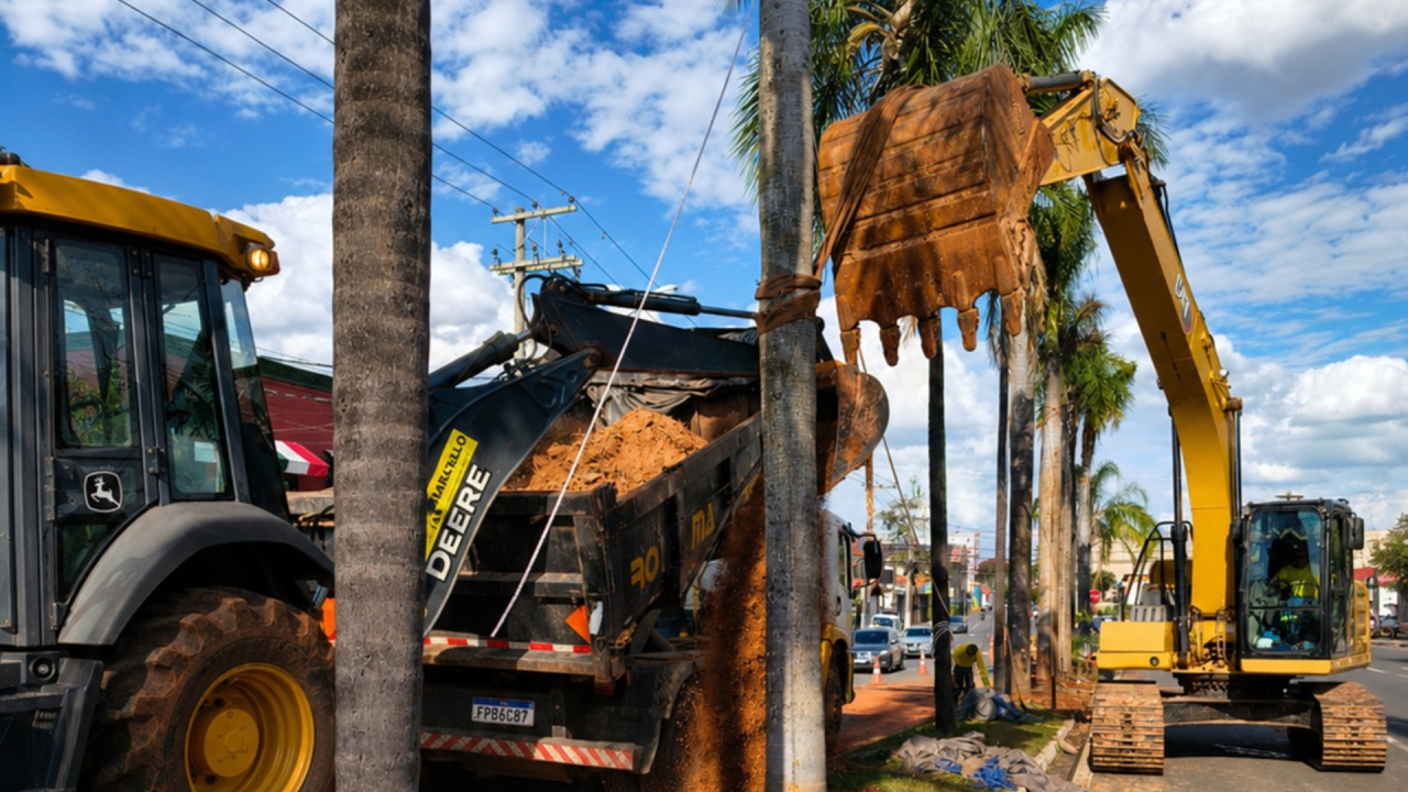 Limeira planta 13 palmeiras na Avenida Maria Thereza