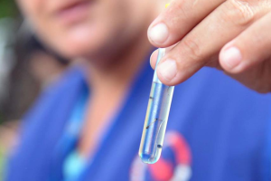 Mutirão contra a dengue percorre a região do Santa Eulália neste sábado