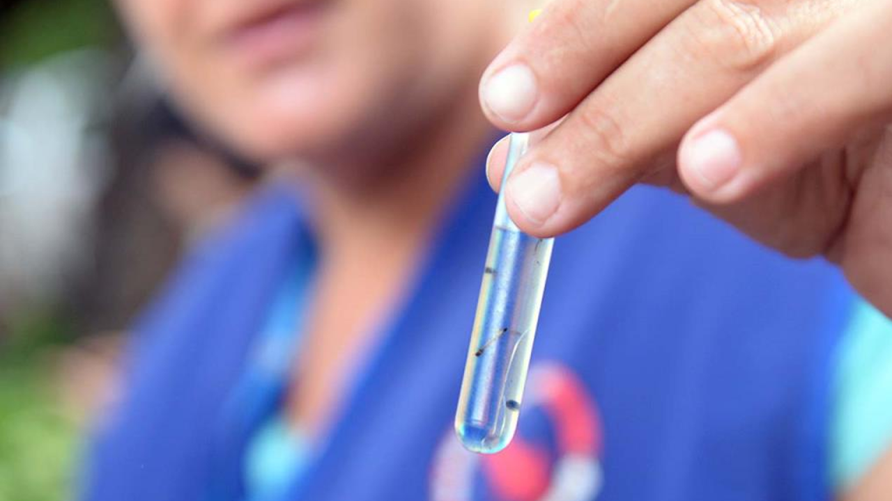 Mutirão contra a dengue percorre a região do Santa Eulália neste sábado