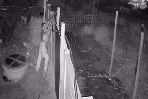 Homem é preso após ser flagrado com cabos de obra em Limeira