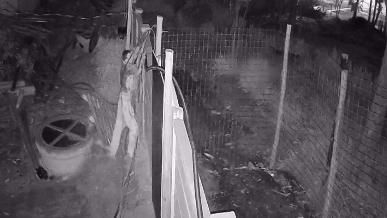 Homem é preso após ser flagrado com cabos de obra em Limeira
