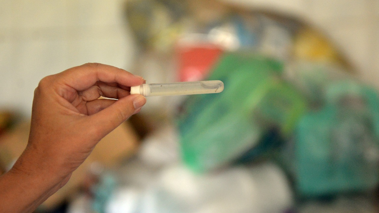 Limeira faz mutirão contra a dengue neste sábado