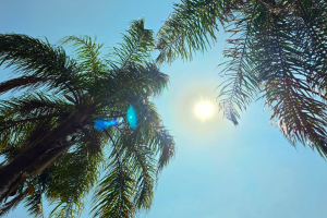 Limeira pode ter 37 graus durante onda de calor