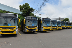 Limeira terá ônibus gratuitos e reforço de viagens nas eleições