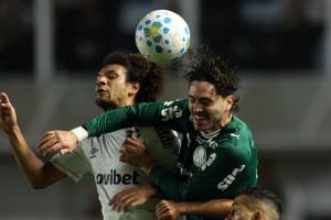 Palmeiras usa vantagem conquistada na ida e avança diante do Santos