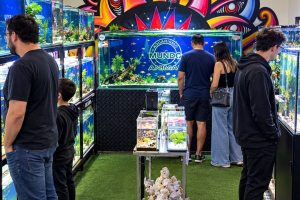 Pátio Limeira Shopping promove encontro inédito de aquaristas em shopping