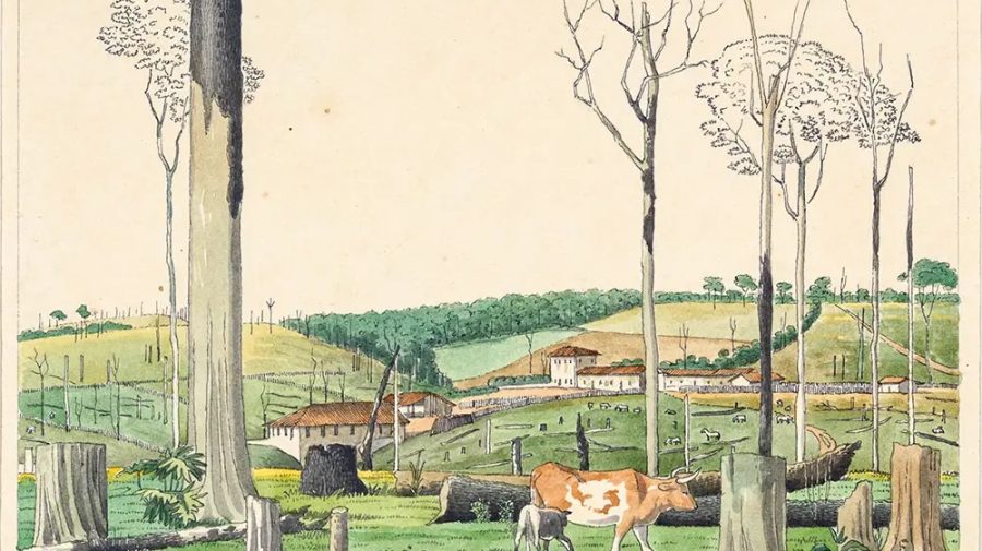 espaço cultural engep