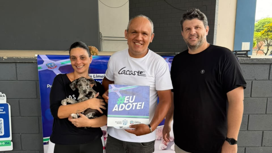 23 cães e gatos são adotados em evento no Parque Cidade em Limeira