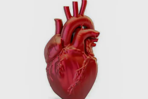 A cada 72 segundos, uma pessoa morre por doença cardiovascular no país