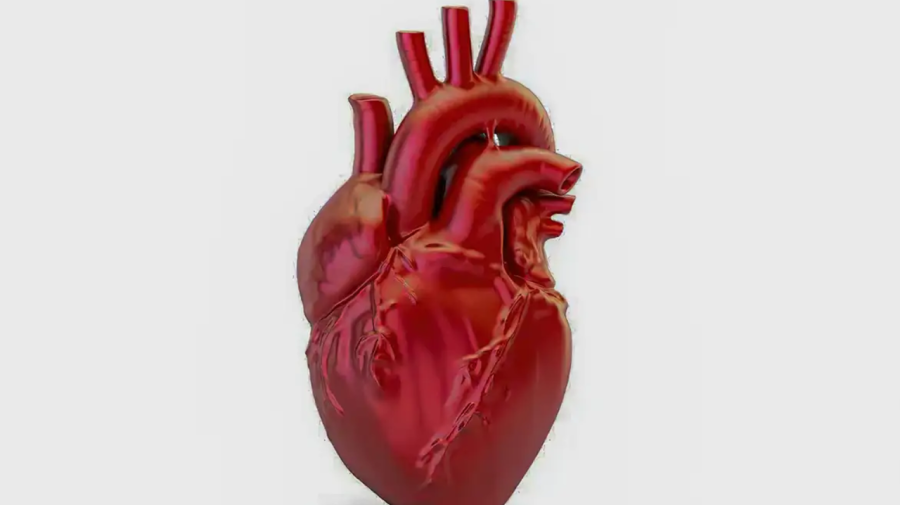 A cada 72 segundos, uma pessoa morre por doença cardiovascular no país