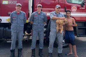 Bombeiros resgatam cachorro que caiu em buraco de obra em Limeira