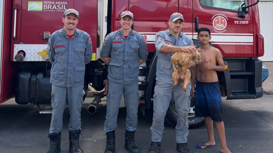 Bombeiros resgatam cachorro que caiu em buraco de obra em Limeira