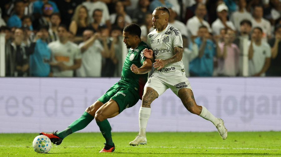 Brasileirão Palmeiras tropeça e Fluminense vence na 33ª rodada