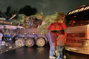 Carreta com nove palmeiras atinge dois veículos e destrói muro de residência em Limeira
