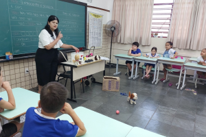 Escolas de Limeira recebem atividades sobre cuidados com cães e gatos