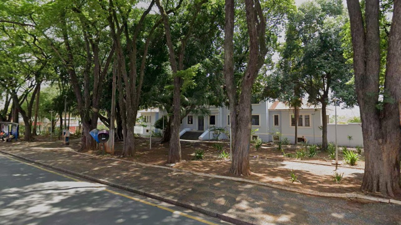 Poda de árvores interdita trecho de rua no Centro de Limeira neste sábado