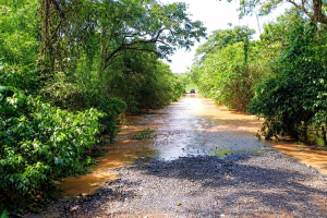 Ponte é interditada após Rio Pinhal transbordar em Limeira