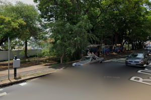 Praça no Centro de Limeira será interditada para poda de árvores neste sábado