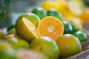 São Paulo concentra 80 da produção de laranja do Brasil
