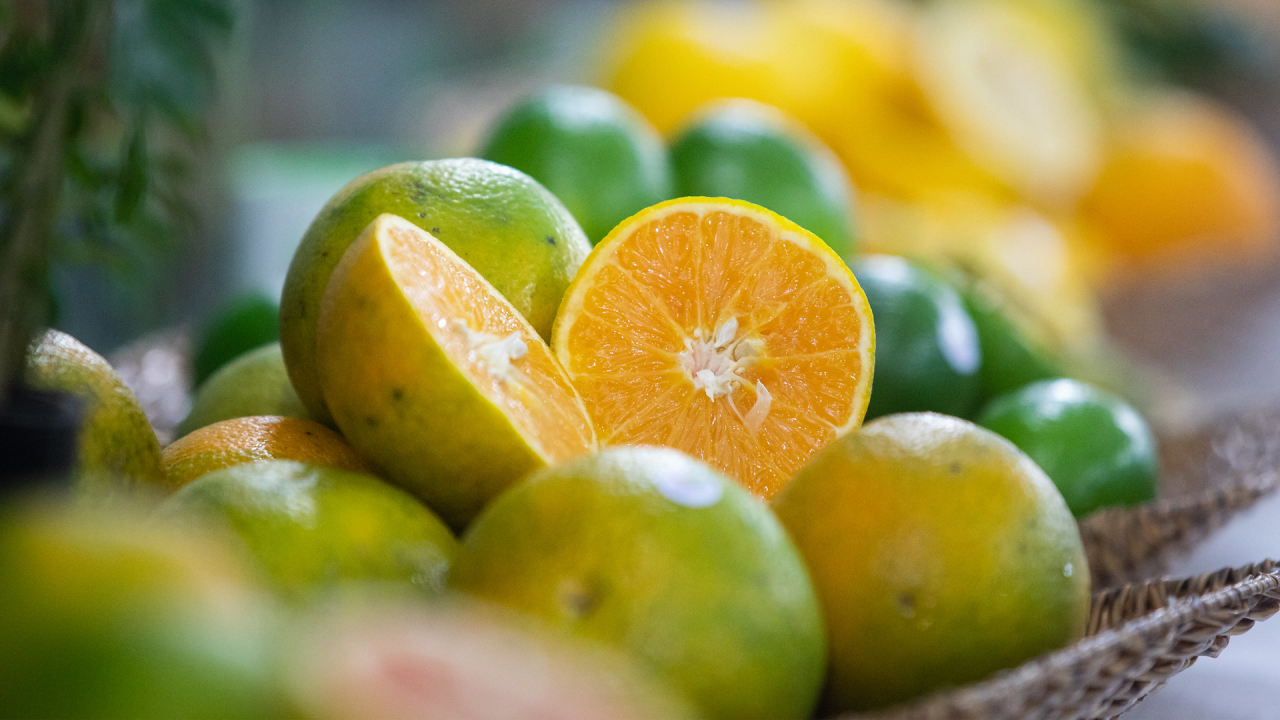 São Paulo concentra 80 da produção de laranja do Brasil