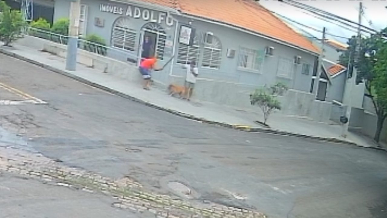 Vídeo mostra homem dando pauladas em cachorro no Jd. Brasil, em Limeira
